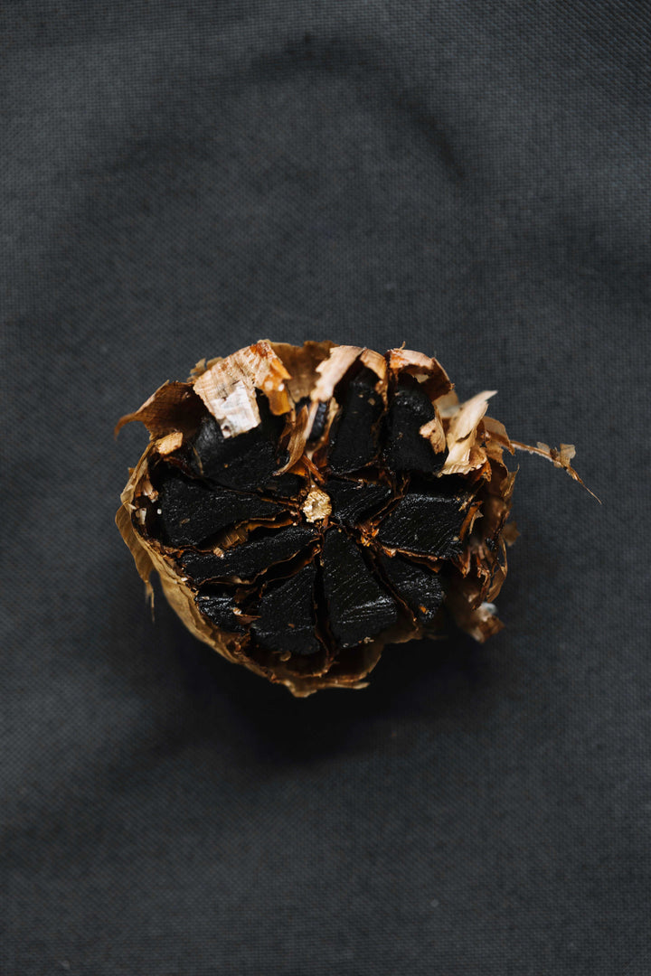 Ekliv Shilajit Gold Label appears as a dark, glossy, irregular resin-like lump with amber-brown edges and flecks.