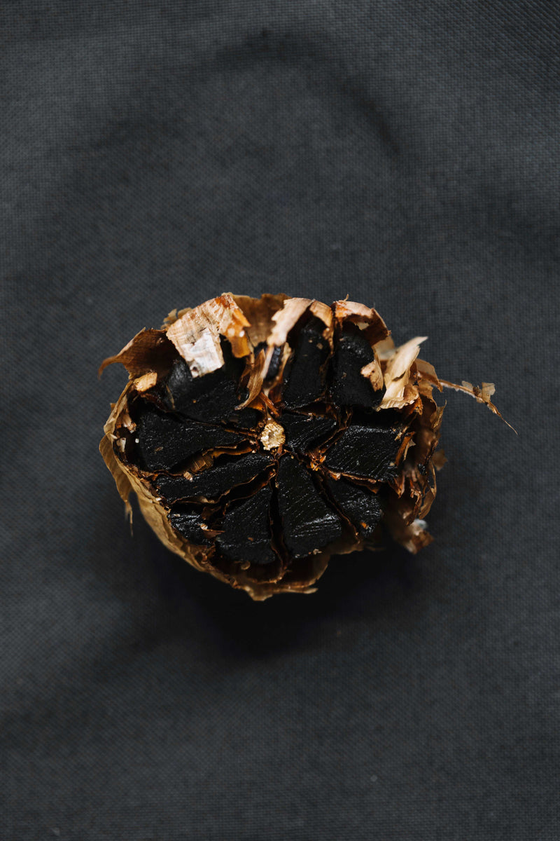 Ekliv Shilajit Gold Label appears as a dark, glossy, irregular resin-like lump with amber-brown edges and flecks.